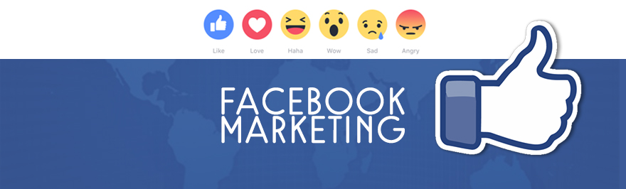 Facebook Marketing Company in Bangalore